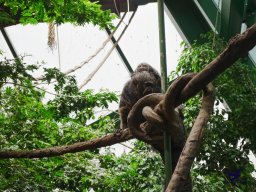 Haus des Meeres 4.02.2026